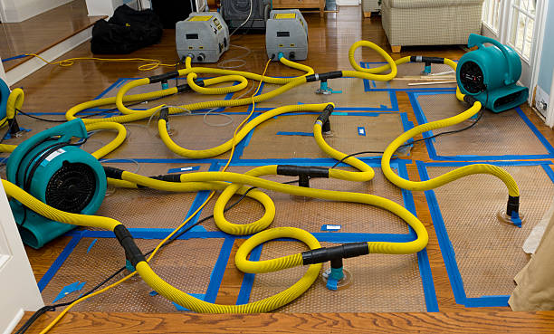 Professional Water Damage Repair technician working in Rosburg, WA